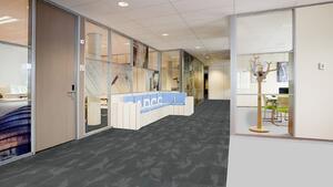 FORBO Flotex Advance Latitude Nimbus S202073 - 2 bm