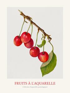 Obrazová reprodukce Cherries (Watercolour Kitchen Fruit)