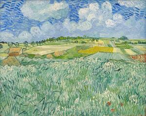 Obrazová reprodukce Plain at Auvers, 1890, Vincent van Gogh