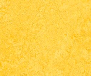 FORBO Marmoleum click Lemon zest 333251 Lamely 300 × 300 mm - 0.63 m2