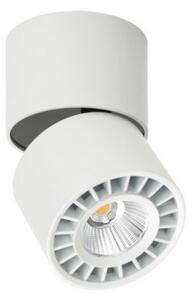 Italux CLN-97018-12W-L-3K LED bodové stropní svítidlo Herios LED | 3000K