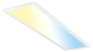 Briloner LED stropní panel (bílá EEK A) (100396566003)