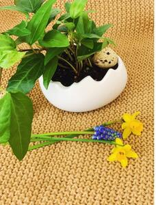 BRIMOON Skořápka keramický květináč 10 cm