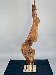 Skulptura naplavený Teak 161 cm