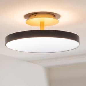 UMAGE LED stropní svítidlo Asteria UP PLUS, antracit Ø 43 cm, stmívatelný, Černá, Obývací pokoj / jídelna, kov, Design