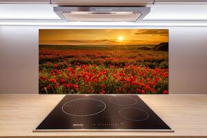 Dekorační panel sklo Pole máků pl-pksh-100x50-f-67034029