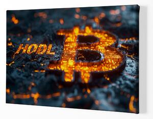 Obraz na plátně - Bitcoin HODL B Silicon Lava FeelHappy.cz Velikost obrazu: 120 x 80 cm