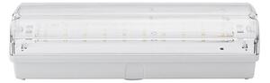 LED Nouzové svítidlo LED/3W/240V 6000K IP65