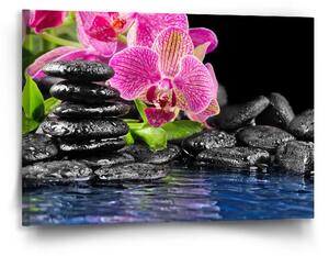 Sablio Obraz Orchidej na kamenech - 90x60 cm