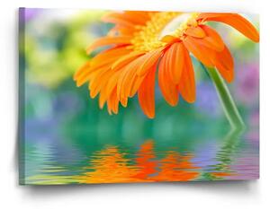 Sablio Obraz Oranžová gerbera - 120x80 cm