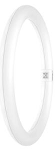 LED Zářivková trubice G10q/18,3W/230V 6500K - Osram