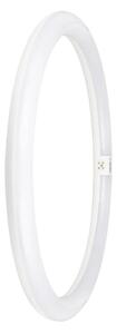 LED Zářivková trubice G10q/24W/230V 4000K - Osram