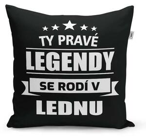 Sablio Polštář Ty pravé legendy se rodí v lednu: 40x40 cm
