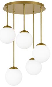 Toolight Rea, LAMP APP1818-5CPR GOLD, OSW-00668