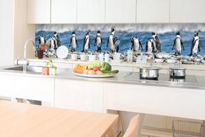 DIMEX | Fototapeta do kuchyně Tučňáci KI-350-112 | 350 x 60 cm | bílá, černá, šedá