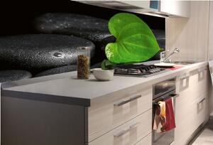 DIMEX | Fototapeta do kuchyně Zelený list KI-180-169 | 180 x 60 cm | zelená, černá, šedá