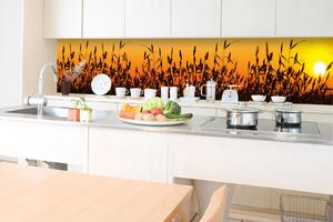 DIMEX | Fototapeta do kuchyně Rákos KI-350-128 | 350 x 60 cm | černá, žlutá, oranžová