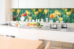 DIMEX | Fototapeta do kuchyně Tulipány KI-350-122 | 350 x 60 cm | zelená, červená, žlutá