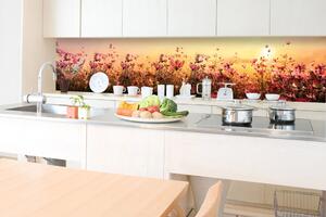 DIMEX | Fototapeta do kuchyně Květinové pole KI-350-130 | 350 x 60 cm | béžová, žlutá, růžová