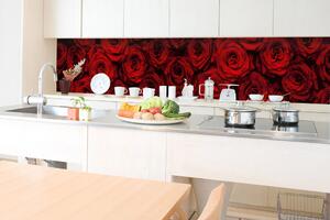 DIMEX | Fototapeta do kuchyně Rudé růže KI-350-132 | 350 x 60 cm | červená