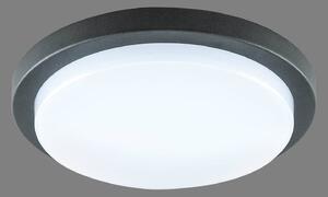 EVN Tectum LED stropní světlo kulaté Ø 24,6 cm