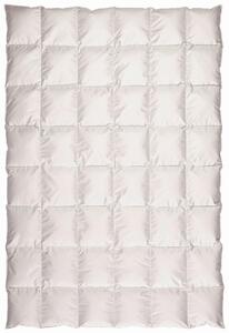 CELOROČNÍ PŘIKRÝVKA, 155/220 cm, prachové peří Centa-Star - Přikrývky, Online Only