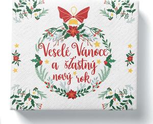 Procos Papírové ubrousky 33x33cm 3vrstvé Veselé Vánoce 20ks