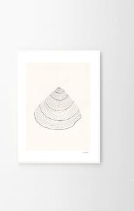 The Poster Club Plakát Shell by Ana Frois 30x40