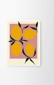The Poster Club Plakát Pink Lemon by Anna Mörner 21x29,7 (A4)
