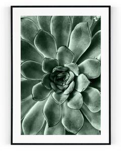 Plakát Kaktusový květ S okrajem A4 - 21 x 29,7 cm - pololesklý saténový papír o gramáži 200 g\/m²