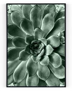 Plakát / Obraz Kaktusový květ Pololesklý saténový papír S okrajem A4 - 21 x 29,7 cm