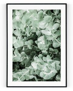 Plakát / Obraz Eucalyptus Pololesklý saténový papír S okrajem A4 - 21 x 29,7 cm