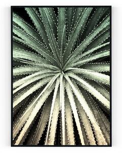 Plakát / Obraz Cactus S okrajem Pololesklý saténový papír A4 - 21 x 29,7 cm