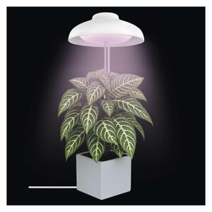 EMOS LED GROW pěstební lampa 5W, časovač, bílá