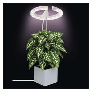 EMOS LED GROW pěstební lampa 8W, časovač, stmívatelná, bílá