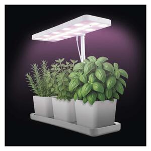 EMOS LED GROW pěstební lampa 7W, časovač, stmívatelná, bílá
