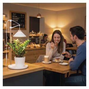 EMOS LED GROW pěstební lampa 7W, časovač, bílá