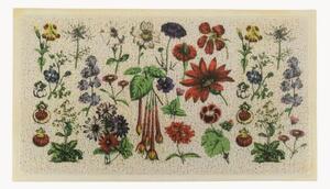 Pratelná rohožka Botanicals