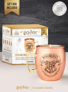 Vonná svíčka Harry Potter Charmed Aroma - měděný hrnek (+náhrdelník) 396g