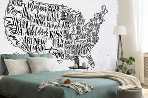 Tapeta šedá mapa USA s jednotlivými státy