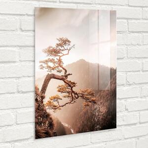 Skleněný obraz 50x70 cm Brown Tree – Styler