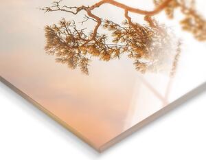 Skleněný obraz 50x70 cm Brown Tree – Styler