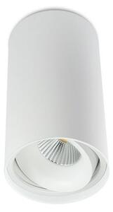 BPM 9051.01.SR.WH-WH.40.ST.9.30 Stropní svítidlo TUBE matná bílá LED 9,3W 40º 3000K 829lm - BPM (starý kód: 9051.10.W-W.D40.3K)