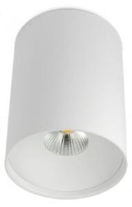 BPM 9052.01.SR.WH-WH.40.ST.9.30 Stropní svítidlo TUBE matná bílá LED 16W Ø120mm 1442lm - BPM (starý kód BPM 9052.SR.W-W.D40.3K)