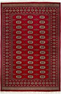 ORIENTÁLNÍ KOBEREC, 170/240 cm, červená Cazaris - Orientální koberce