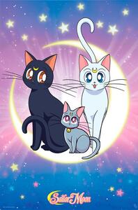Plakát, Obraz - Sailor Moon - Luna, Artemis & Diana