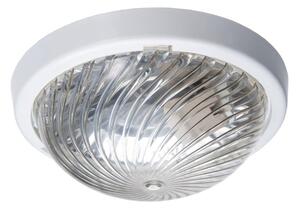 PALNAS 66019154 ŠÍŘKA: 245 mm