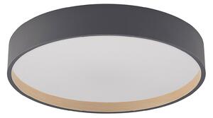 Stropní Lampa Lindby, Todor, stmívatelné, Černá, Obývací pokoj, Plast, Moderní