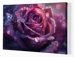 Obraz na plátně - Růže, růžový dotek FeelHappy.cz Velikost obrazu: 120 x 80 cm