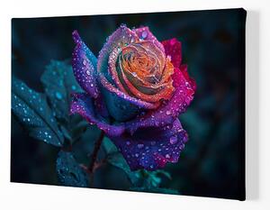 Obraz na plátně - Růže, kapky vášně FeelHappy.cz Velikost obrazu: 60 x 40 cm